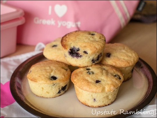 Blueberry Muffins made with Greek Yogurt