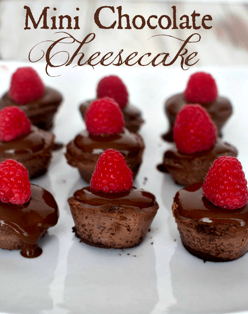 Mini Chocolate Cheesecake with Raspberries