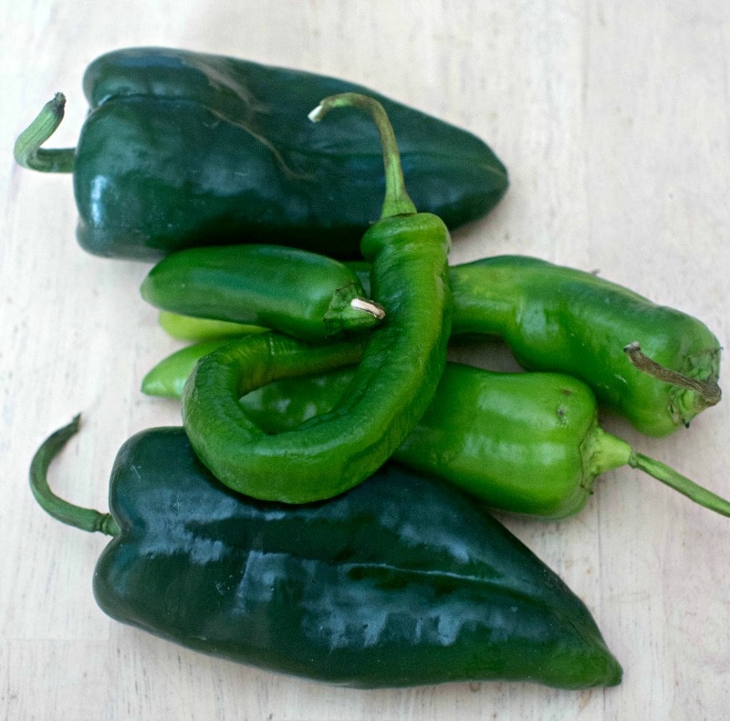 Fresh chile peppers