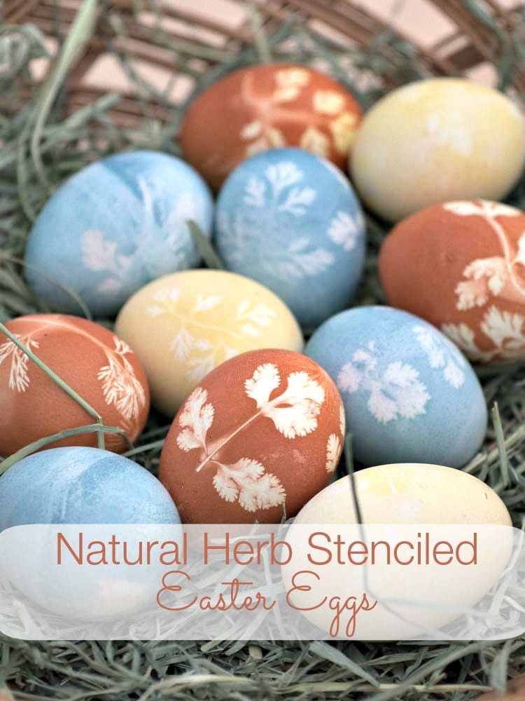 Natural Herb Stenciled Easter Eggs - Easter eggs made with natural dyes using herbs to create a pretty pattern. The eggs are dyed with turmeric, red cabbage and onion skins.