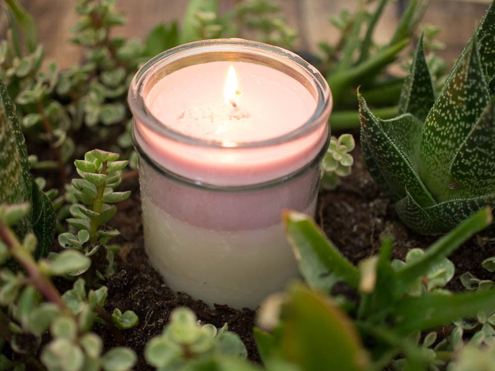 Candle surrounded by succulents in a centerpiece