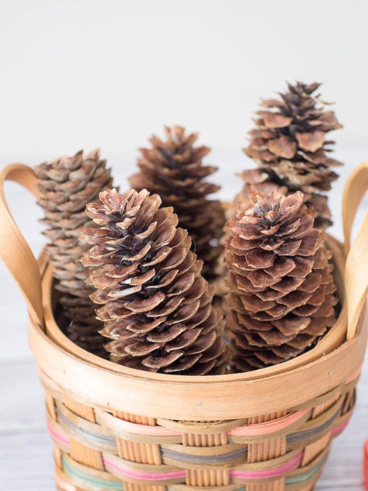 Arranging pine cones in the basket