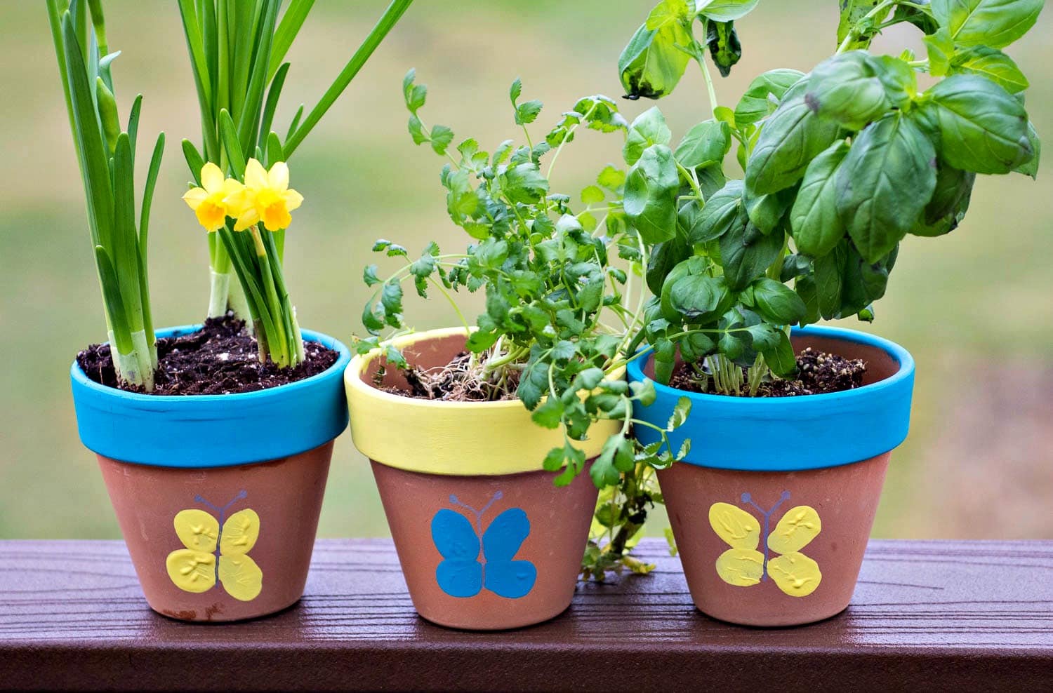 Thumbprint Flower Pots - make cute thumbprint butterflies on terracotta flower pots for an easy spring craft