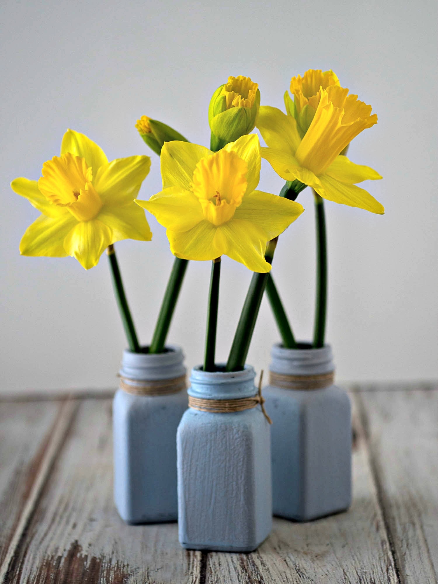 Easy DIY Spring Bud Vases made from salt shakers and chalk paint