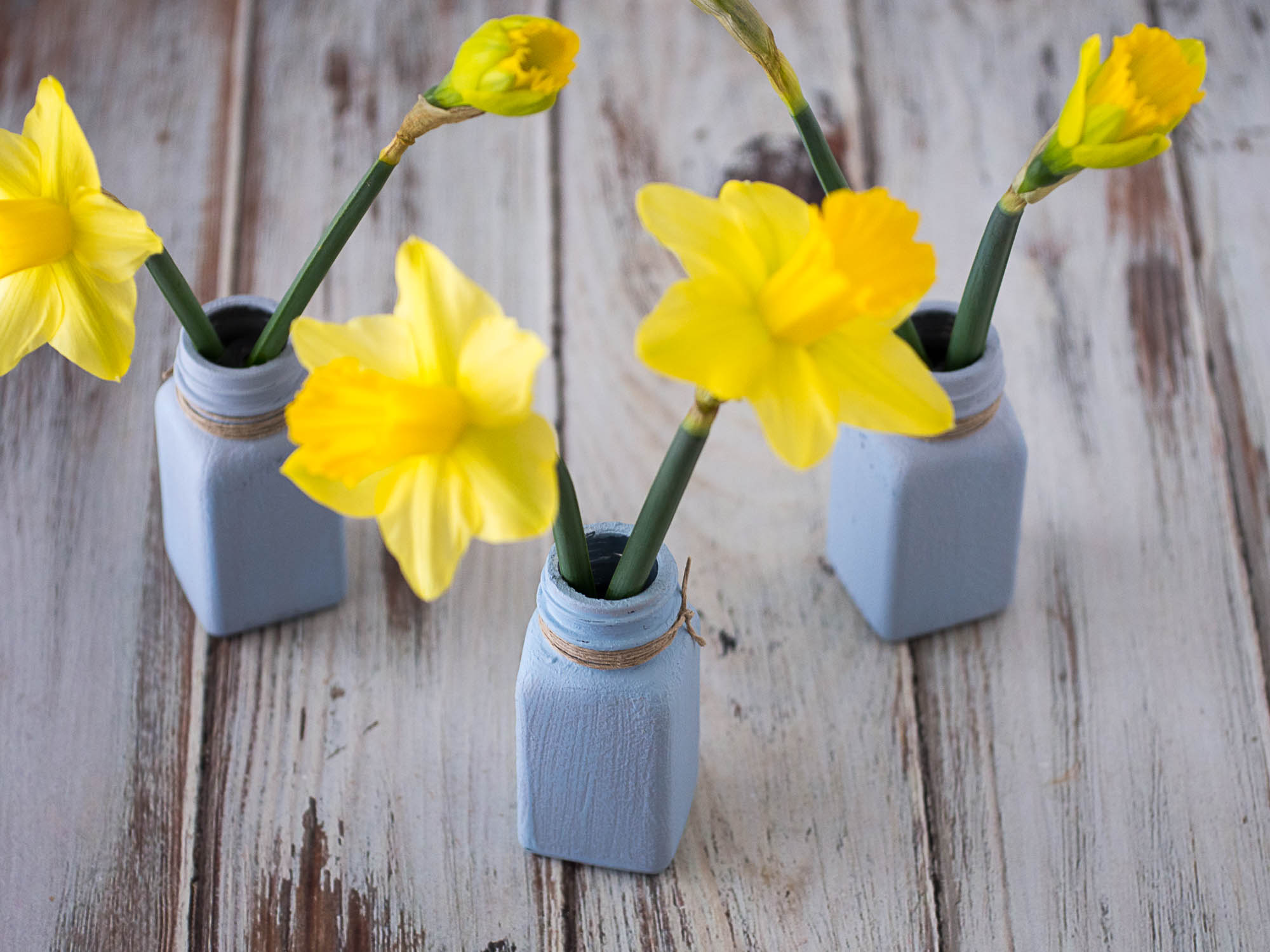 bud vases with daffodils