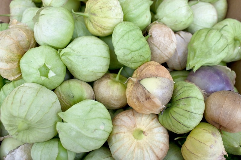 Lots of Tomatillos with their husks