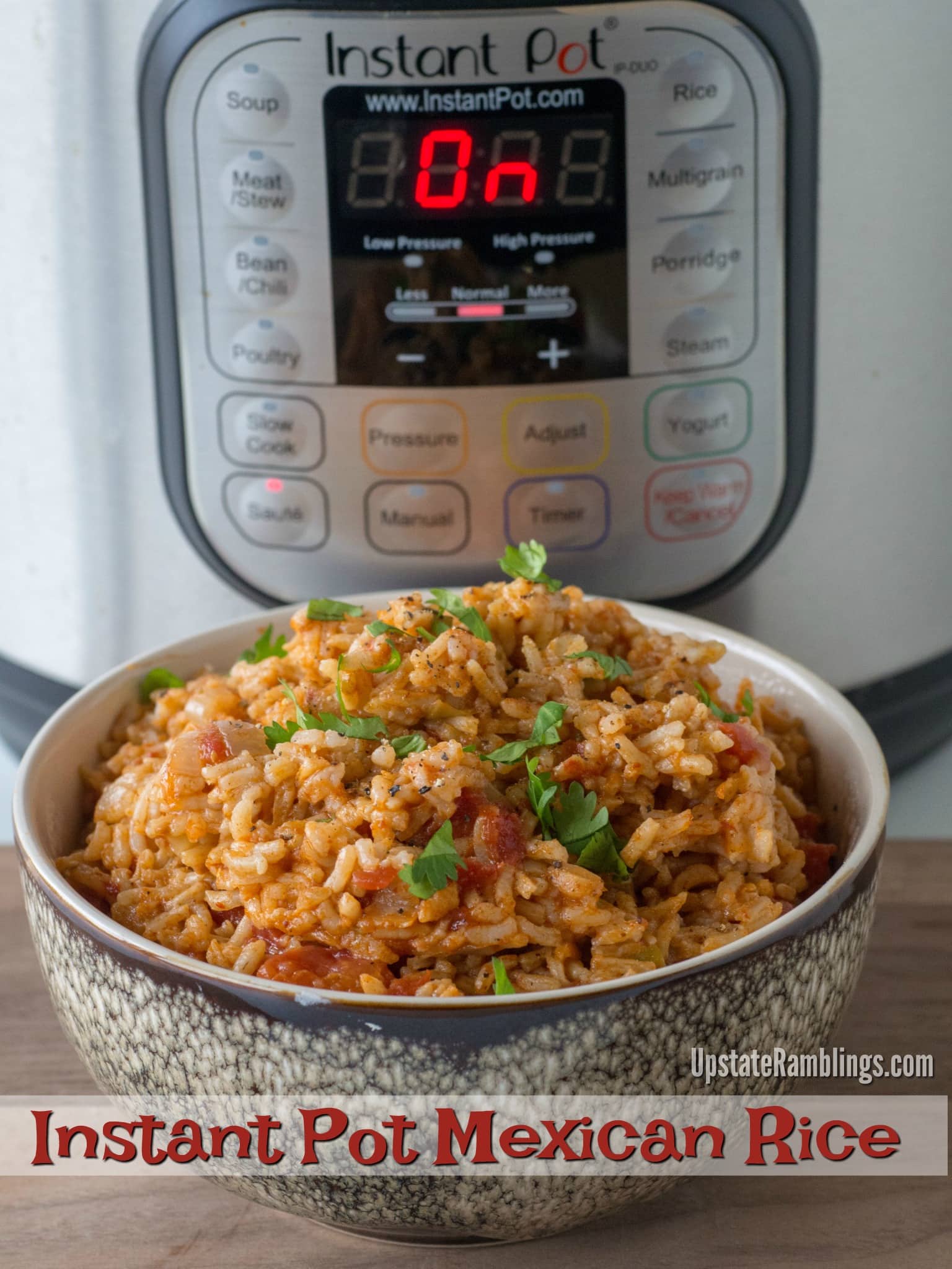 Instant Pot Mexican rice
