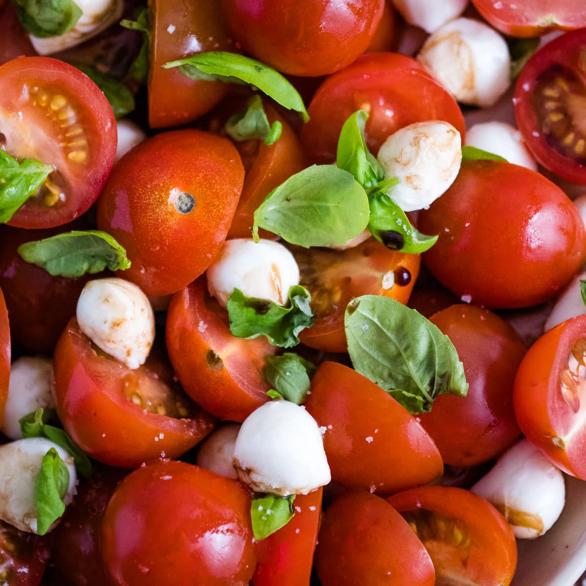 Closeup of tomatoes and mozzarella in a bowl.