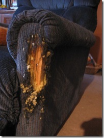 the damage the cat did to our recliner