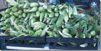 corn at the farmers market