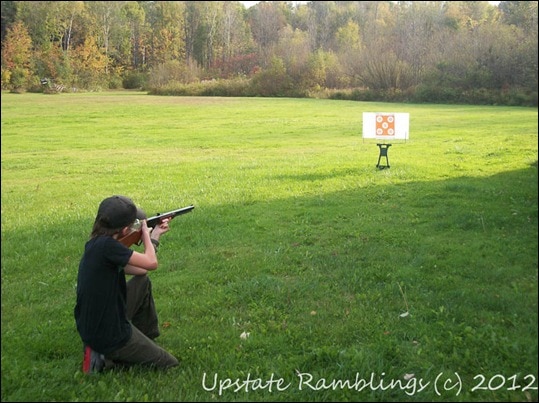 Target Shooting with a BB Gun