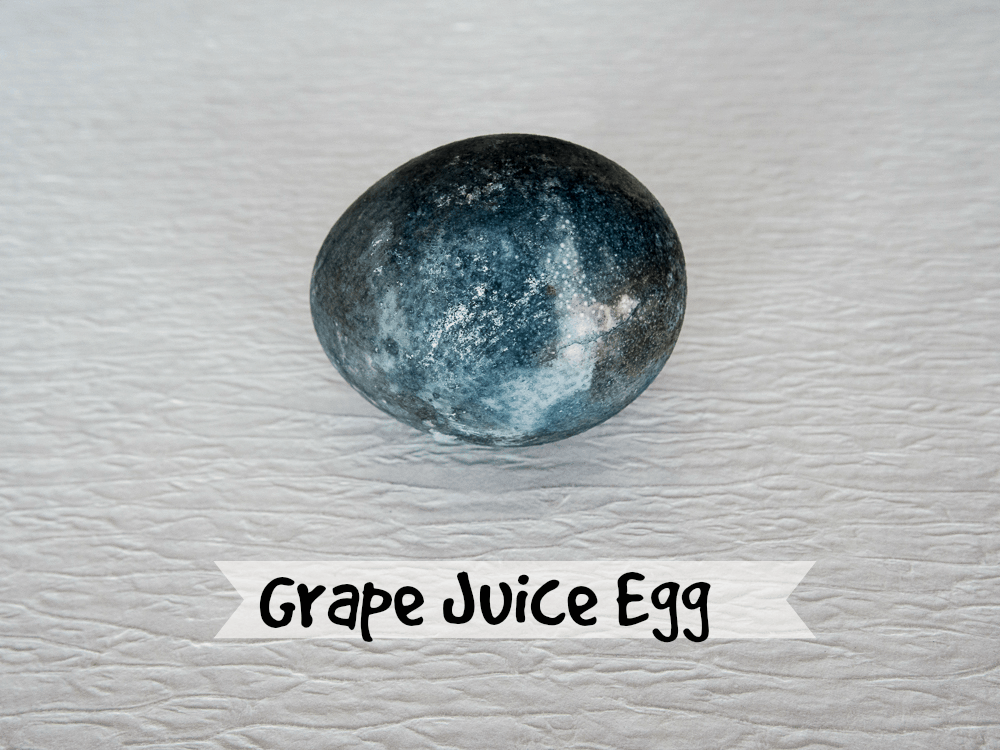 Egg dyed using grape juice