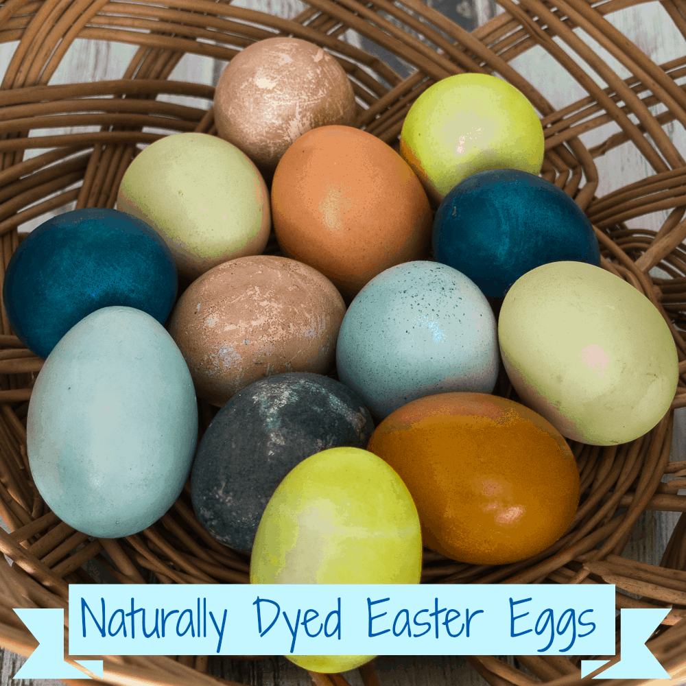 Dyeing Easter eggs with Natural dyes - a fun Easter project to naturally dye eggs in a rainbow of colors