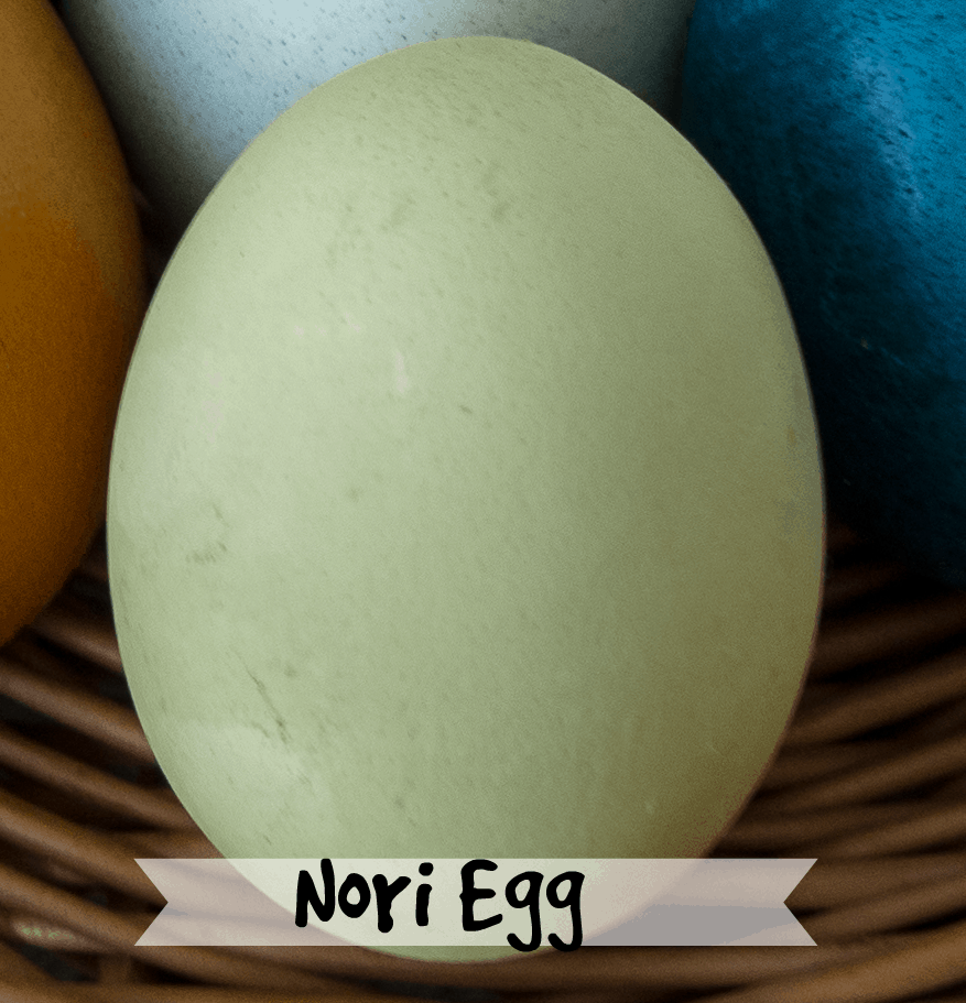 Easter egg dyed with nori