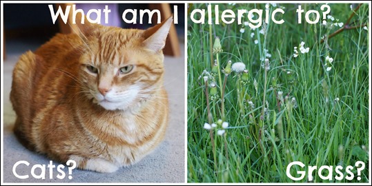 allergiesnew
