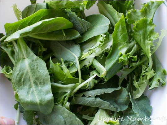 Organic Girl Salad Greens