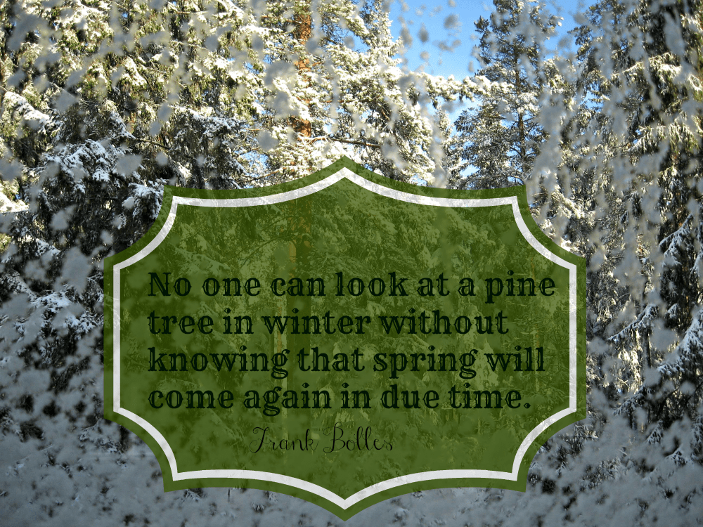 bolles quote about winter