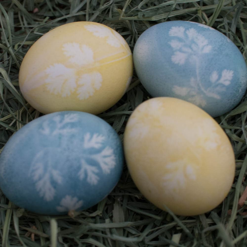 Four stenciled easter eggs in blue, yellow and green.