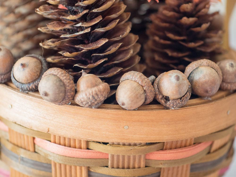 Easy Thanksgiving Centerpiece with pine cones.