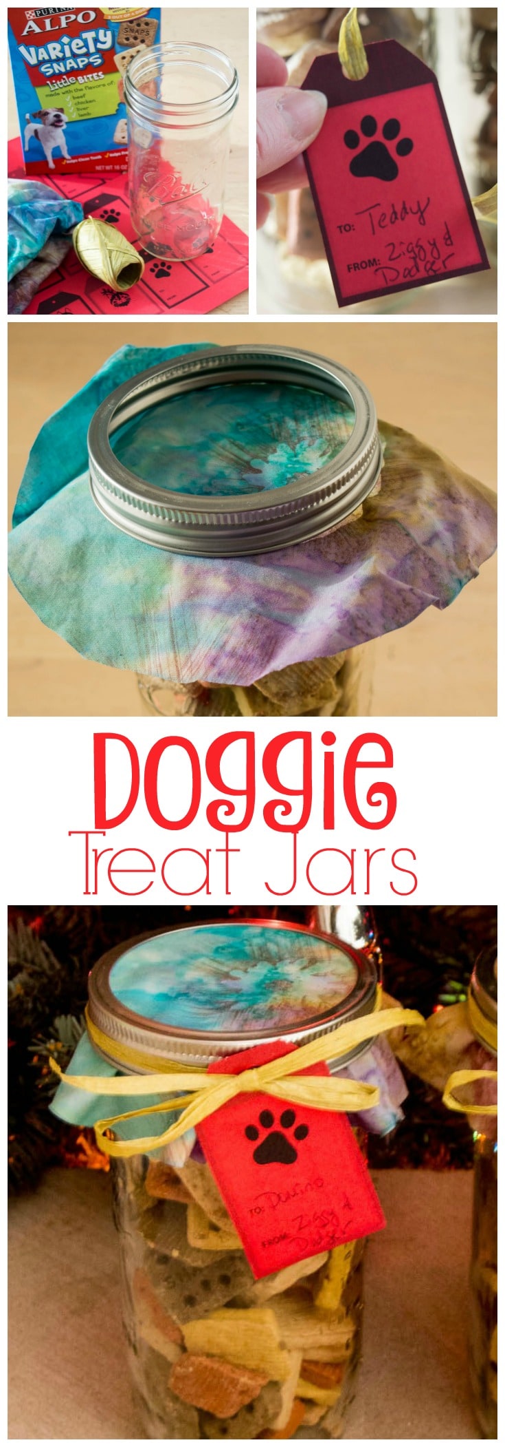 Doggie treat jars.