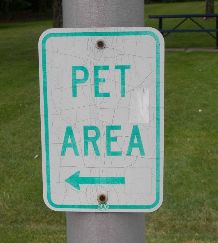 Pet Area