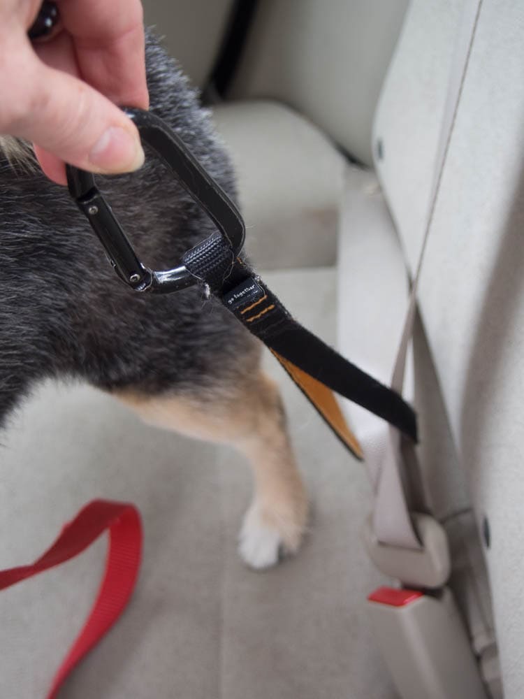 Dog Seat Belt Harness