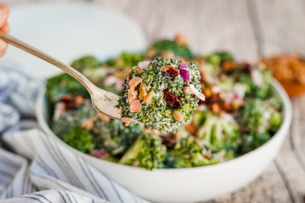 broccoli crunch salad on a fork