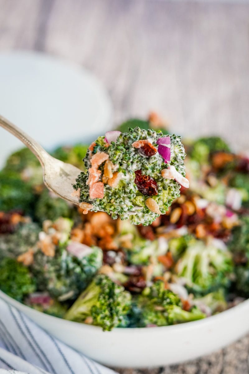 forkful of broccoli crunch salad
