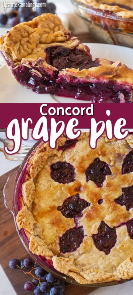 Celebrate fall with this delicious Concord grape pie recipe. This traditional pie recipe from upstate New York consists of a flaky pie crust filled with lots and lots of Concord grapes. With only four ingredients this pie is not difficult to make and is a unique holiday dessert with outstanding grape flavor. #holidaybaking #holidaypie #grapepie #grapes #Concordgrapes