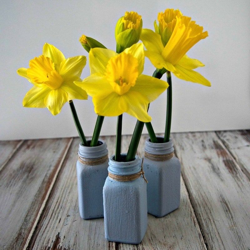 daffodils in vases