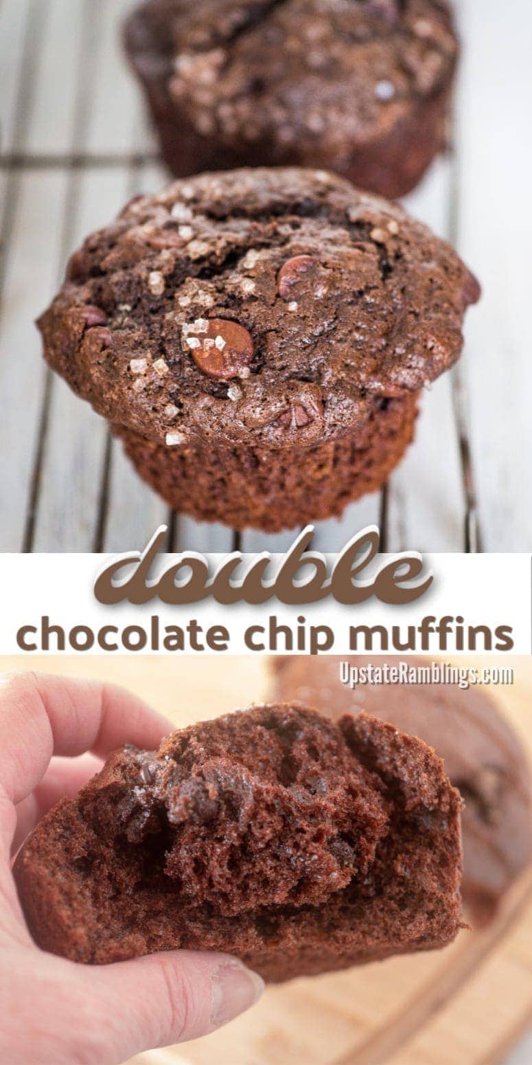 Rich and Chocolately Double Chocolate Muffins - An easy and tasty homemade recipe for the best bakery style chocolate chocolate chip muffins. These double chocolate muffins are tender and moist with rich chocolatey goodness in every bite. #chocolate #muffins 