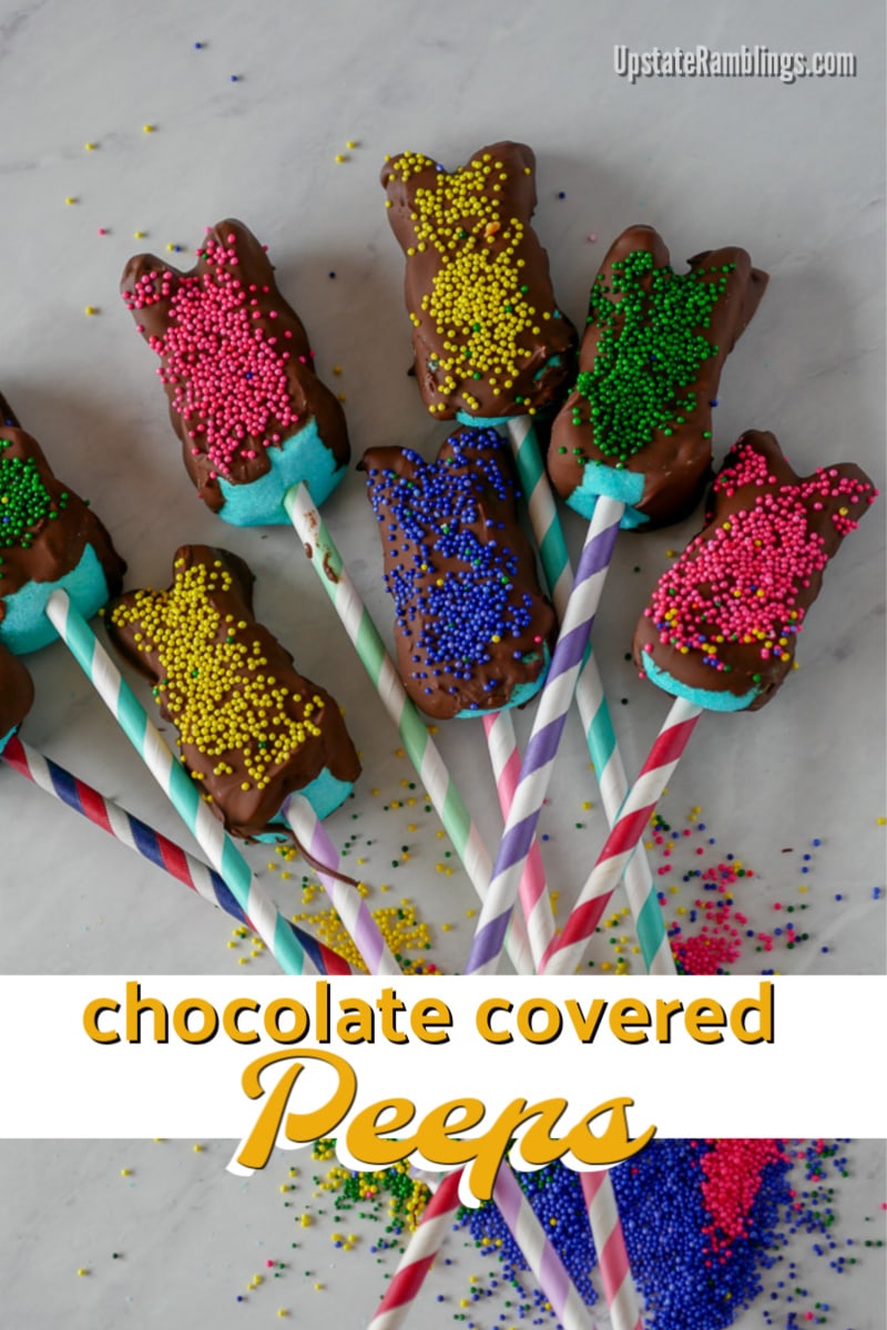 Chocolate covered marshmallow pops are a cute Easter recipe with peeps made from chocolate dipped frozen Peeps. Dip the entire bunny or just the ears! This Peeps recipe is quick and easy to make and sure to be a hit with kids of all ages. #peeps #easter #marshmallowpops