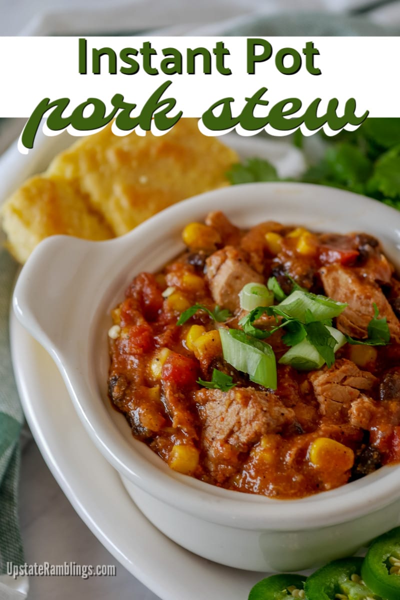 bowl of Instant Pot pork stew