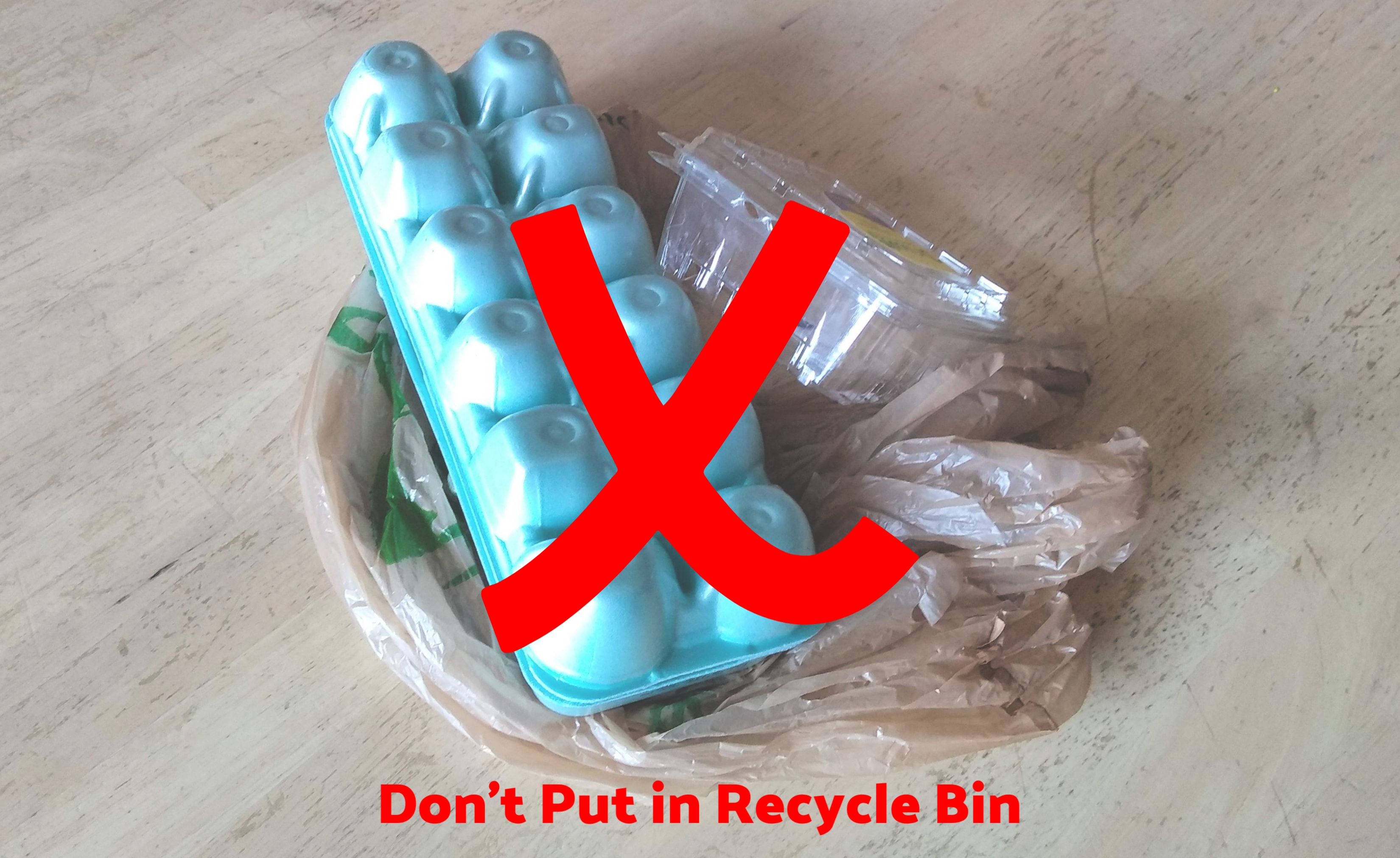 Things you should not put in your blue recycle bin - egg cartons, berry containers and plastic bags