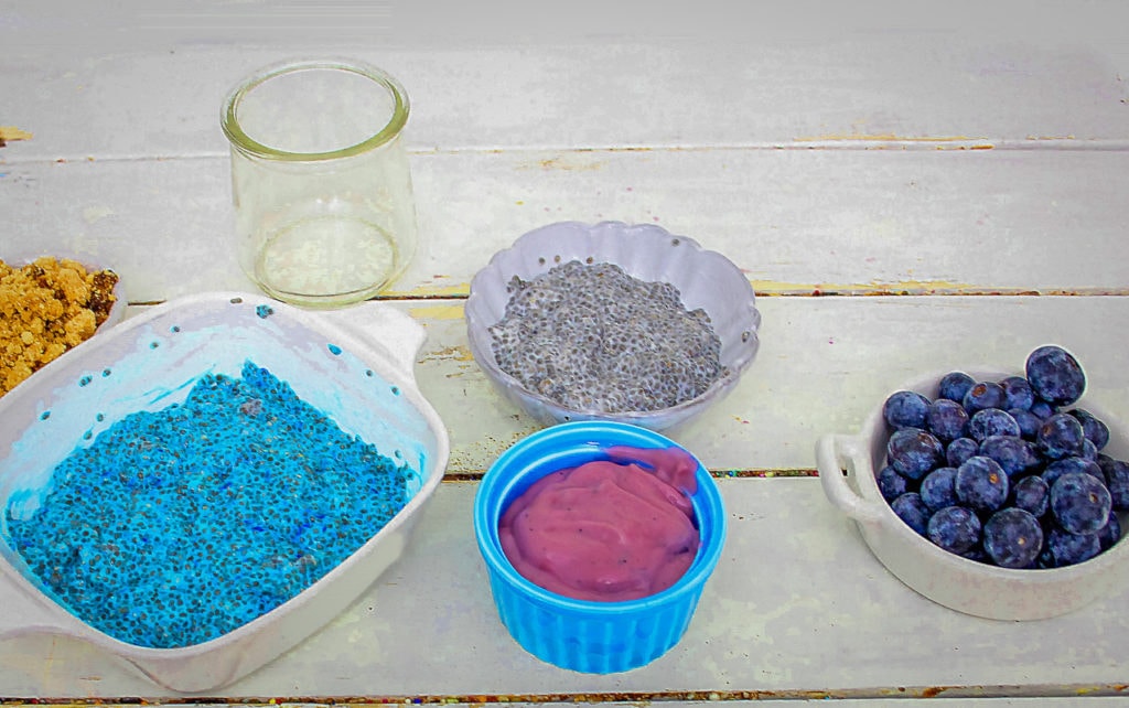 Ingredients for blueberry chia pudding