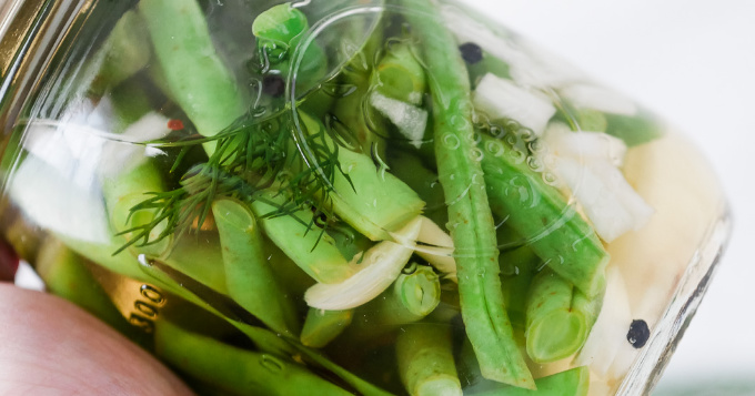 Holding a jar of pickled green beans with garlic and dill.