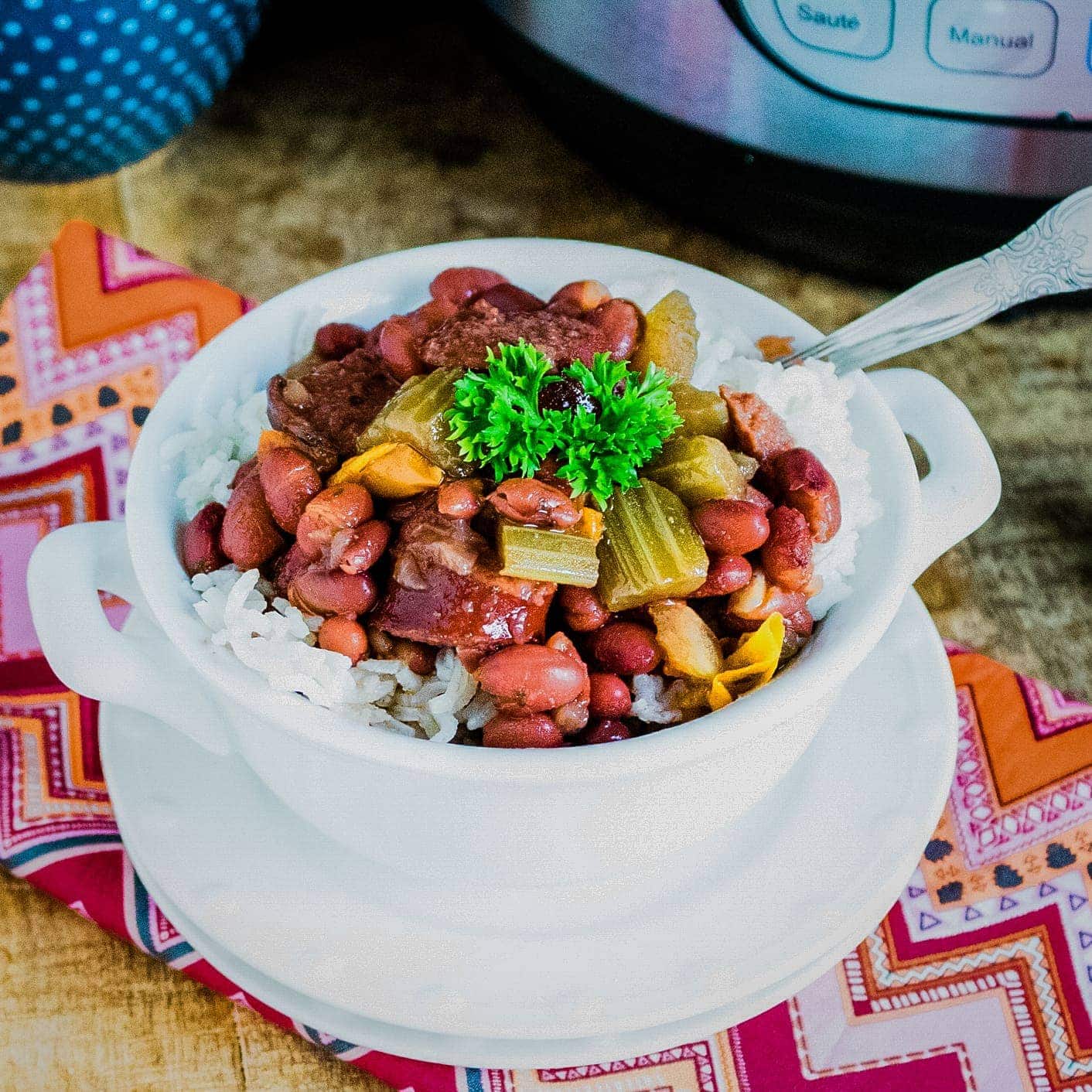An appetizing instant pot recipe bowl of beans and rice.