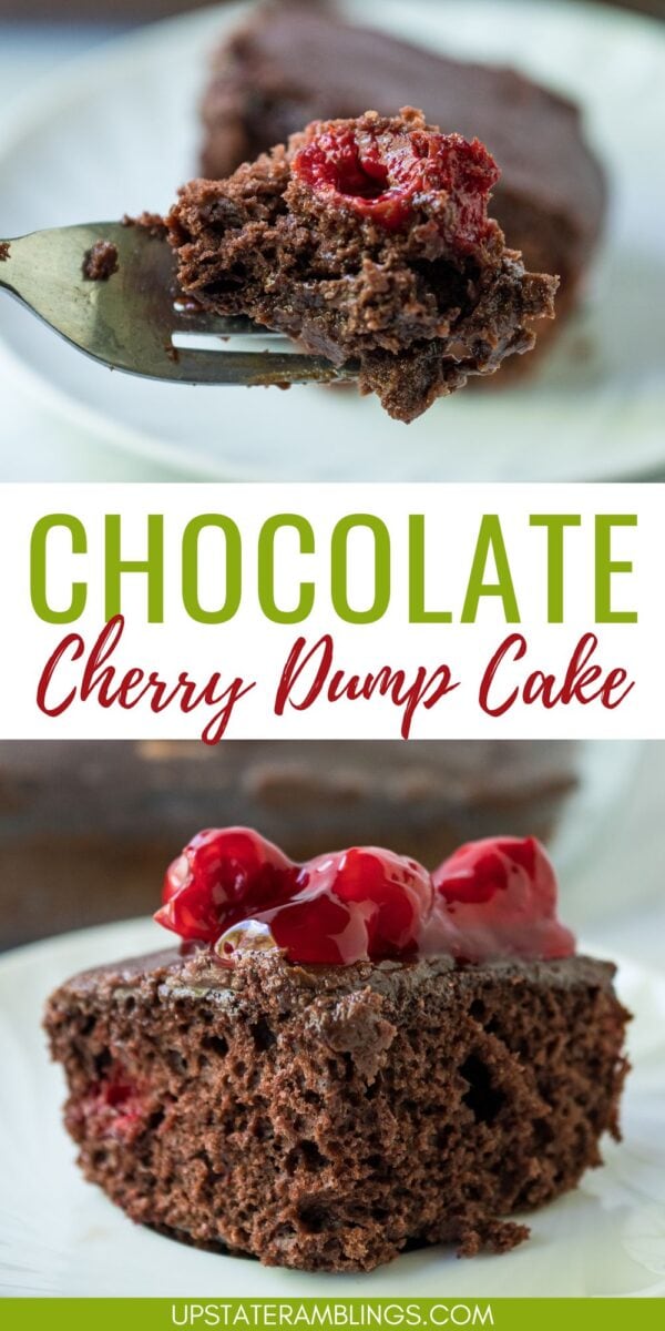A close-up of a slice of chocolate cherry cake dump cake topped with cherries, on a white plate. A fork holds a bite in the top portion of the image.