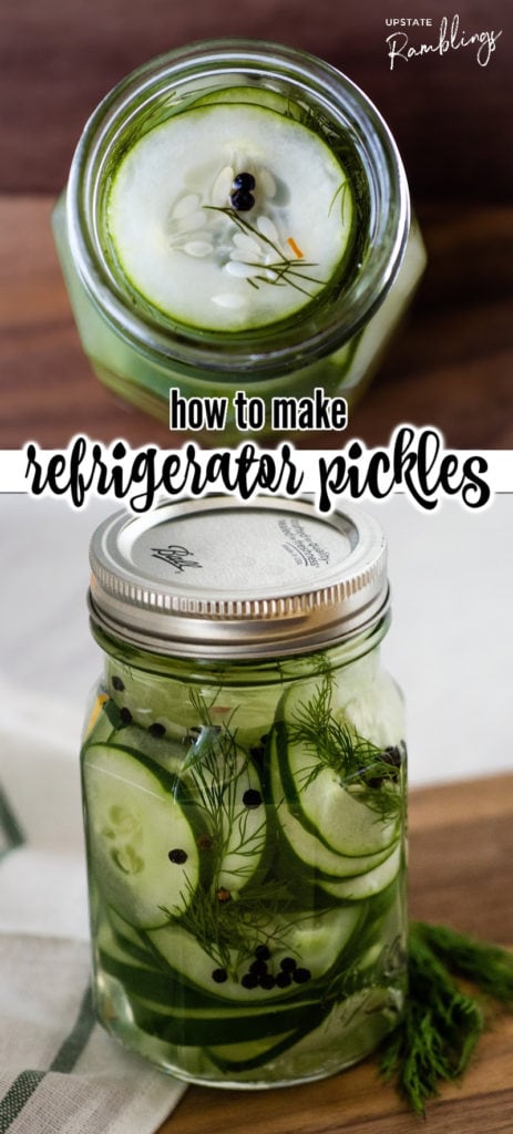 Refrigerator pickles allow you to quickly make tasty fresh pickles without canning. You don't need any special equipment or skills! Learn how to make refrigerator dill pickles and find recipes for lots of other pickles too.