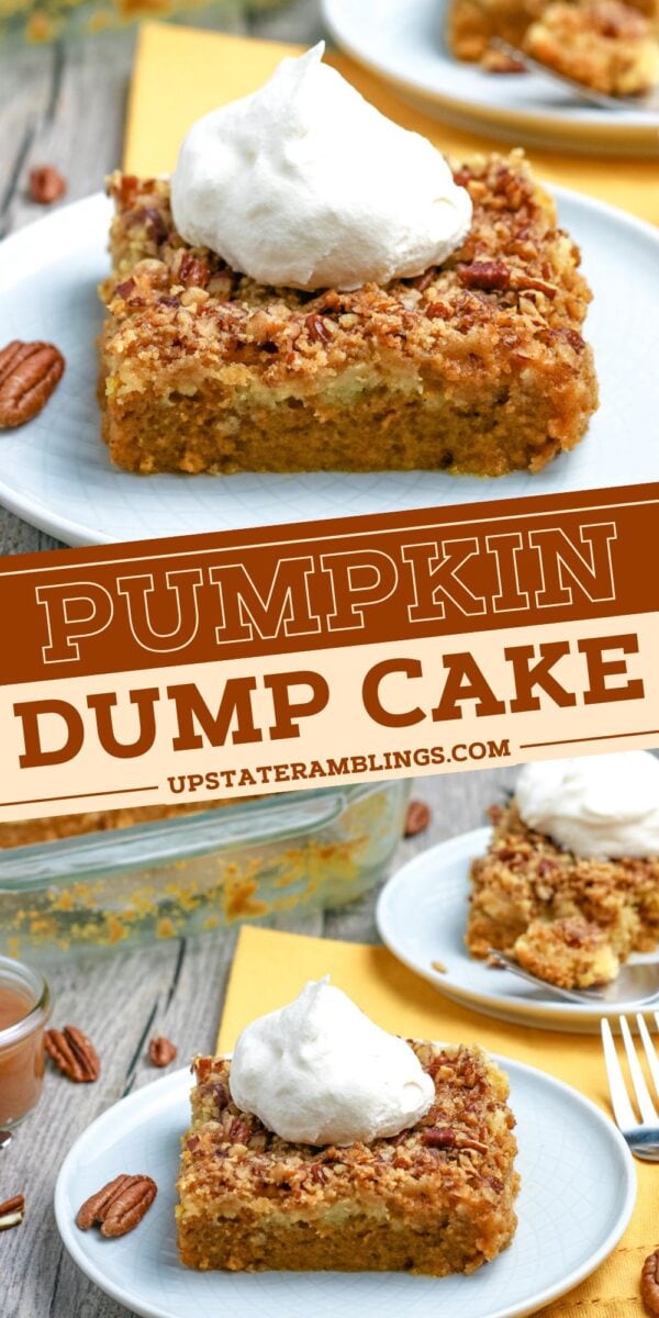 A slice of pumpkin dump cake topped with whipped cream is served on a plate, with more pumpkin dump cake and pecans visible in the background.