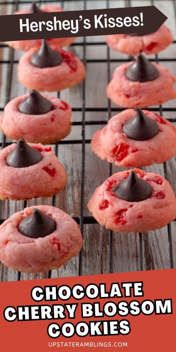 Pink cherry blossom cookies with pieces of cherry and a Hershey's Kiss on top, arranged on a cooling rack. Text reads "Chocolate Cherry Blossom Cookies," showcasing the perfect chocolate cherry blossoms for any occasion.