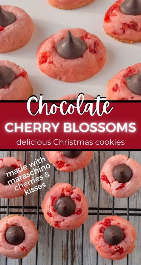 These adorable chocolate cherry blossoms are the perfect holiday cookie. In this recipe maraschino cherry flavored dough is topped off with dark chocolate Hershey kisses for the ultimate cherry kiss cookie. Make this pretty pink cookie for a cookie exchange or included them in a Christmas cookie box.