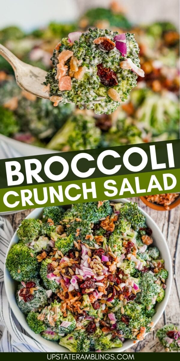 A bowl of broccoli crunch salad with chopped broccoli, red onions, dried cranberries, bacon bits, and creamy dressing is shown close-up and overhead. This vibrant broccoli crunch salad bursts with color and fresh flavor.