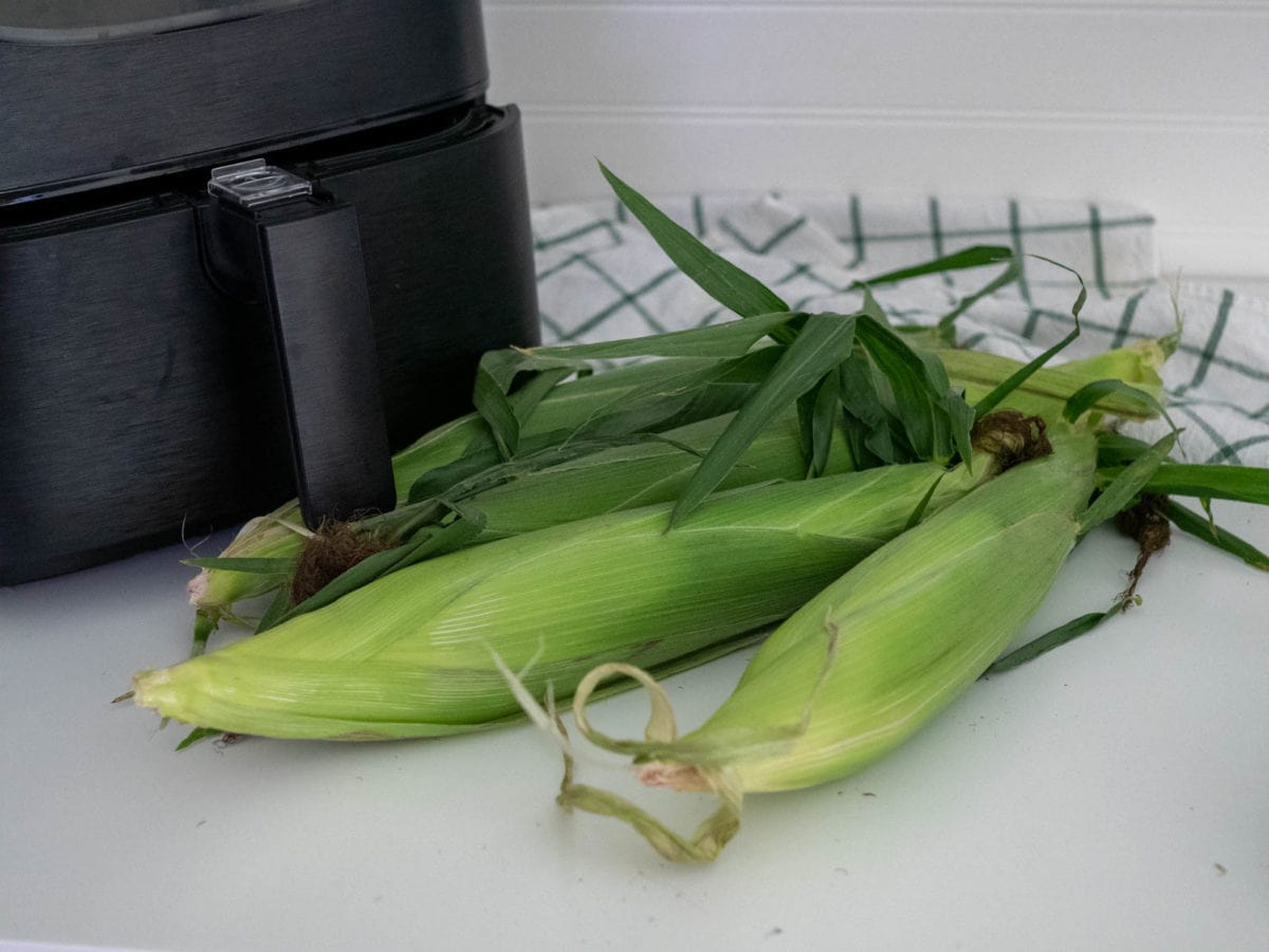 fresh corn in husks