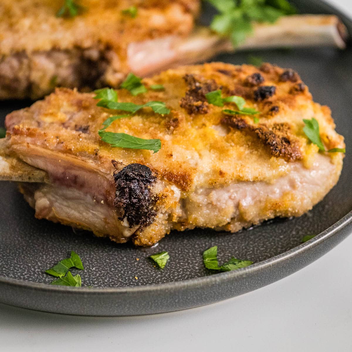 Two breaded pork chops on a gray plate with parsley.