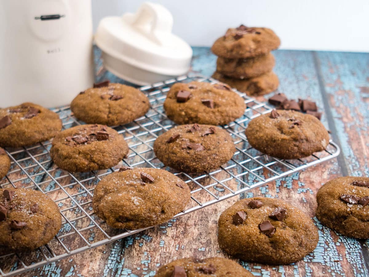 molasses chocolate chip cookies on a cooling rack