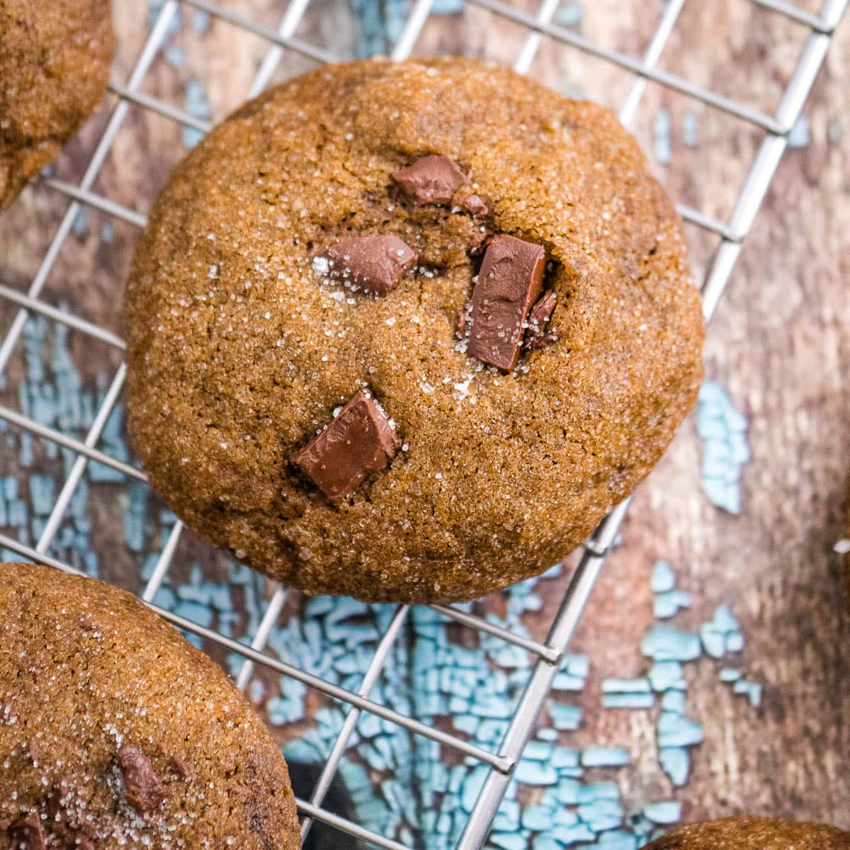 closeup of a molasses chocolate chip cookie