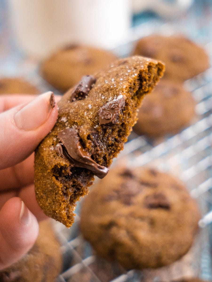 molasses chocolate chip cookie broken open to see gooey chocolate