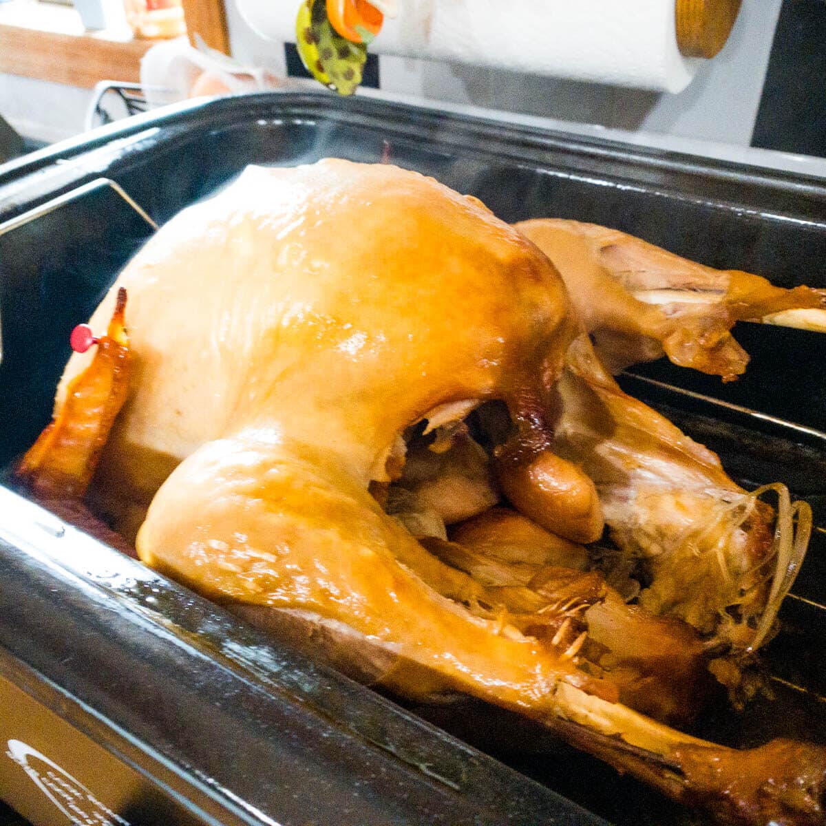 turkey after roasting.