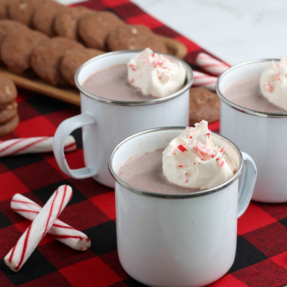 peppermint hot chocolate in mugs